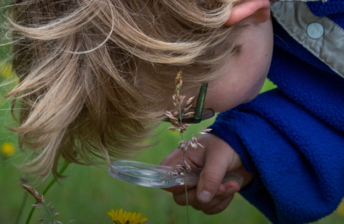 Kinderboekenweek 2025: Inspiratieworkshops ‘Vol Avontuur!